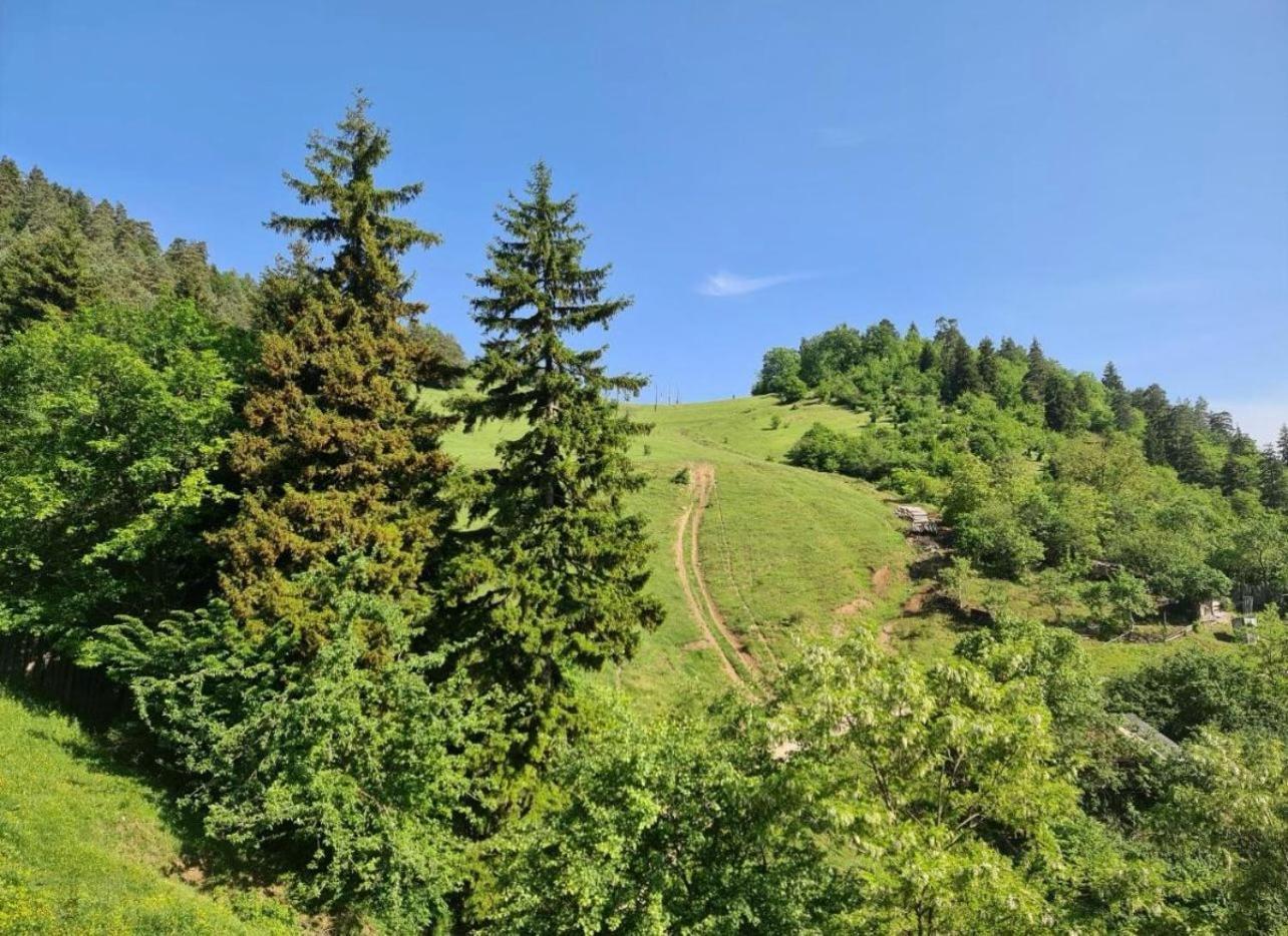 Holiday Borjomi Qvibisi Exteriér fotografie