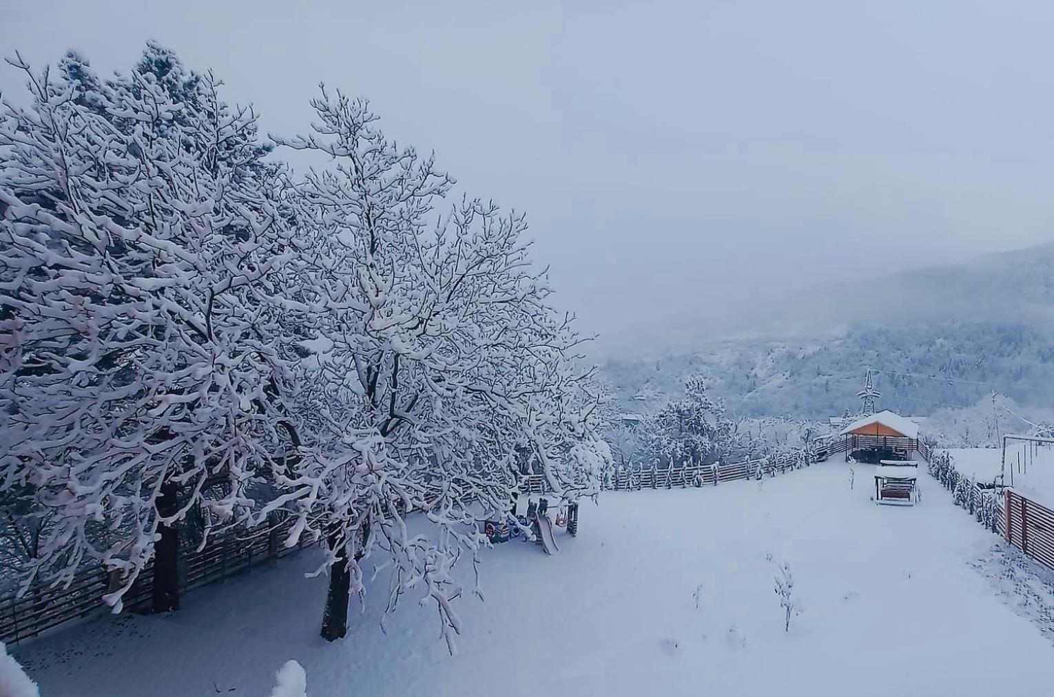 Holiday Borjomi Qvibisi Exteriér fotografie